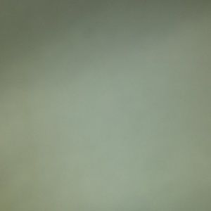 Meet your Posher, Cassie